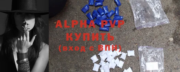 прущие крисы Ельня