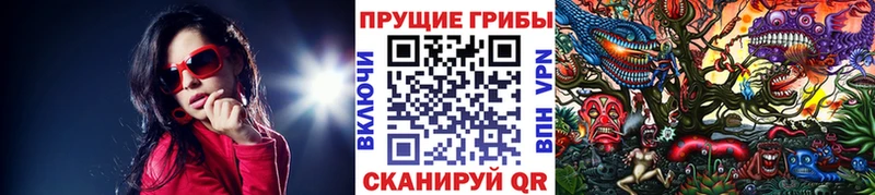 цена наркотик  ОМГ ОМГ зеркало  Галлюциногенные грибы GOLDEN TEACHER  Валуйки 